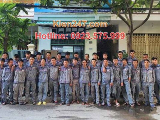 Đội ngũ kỹ thuật viên trình độ cao và kinh nghiệm trong lĩnh vực