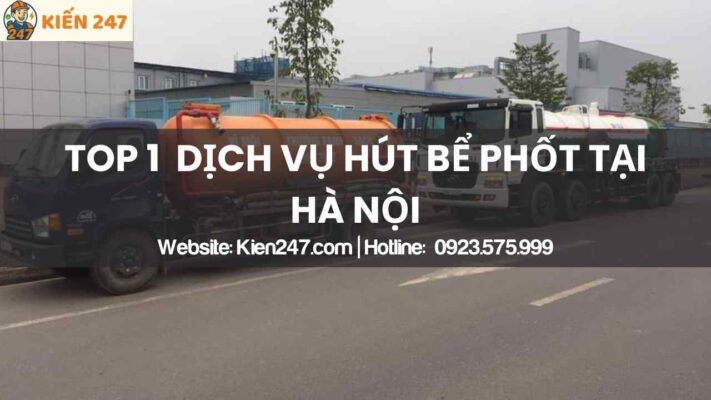 Giới thiệu về Kiến 247