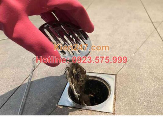 Thông tắc cống của Kiến 247 hiện đang mở 24/24 tại Mỹ Đình
