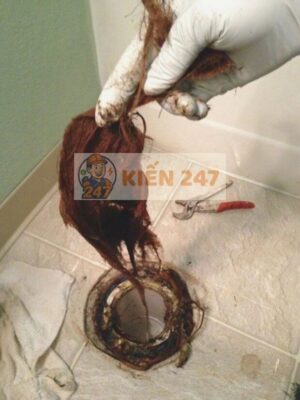 Tóc là nguyên nhân chủ chốt dẫn đến tắc cống nhà tắm Tóc là nguyên nhân chủ chốt dẫn đến tắc cống nhà tắm