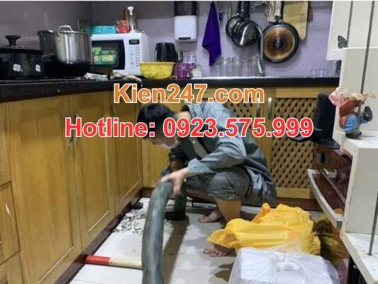 Bạn có thực sự cần hút bể phốt tại Hoằng Hóa?