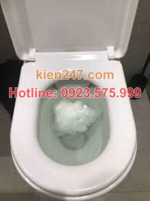 Dấu hiệu cần thông tắc cống tại Cầu Giấy