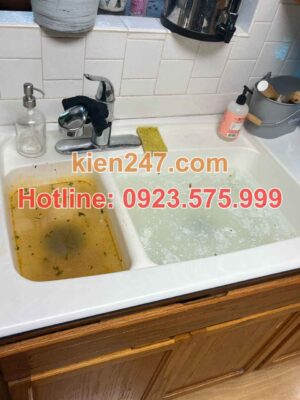 Hậu quả khi không thông tắc cống tại Vĩnh Lộc kịp thời