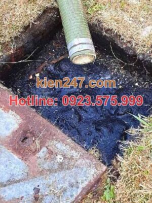 Thực trạng vệ sinh & nhu cầu hút bể phốt tại Vĩnh Lộc