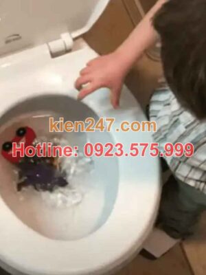 Tắc Cống Do Vật Thể Lạ, Dị Vật Cứng