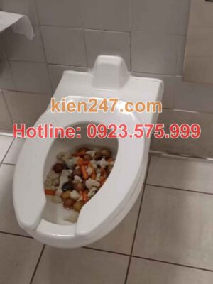 Vì sao cần dịch vụ thông tắc bồn cầu chuyên nghiệp tại Mai Châu