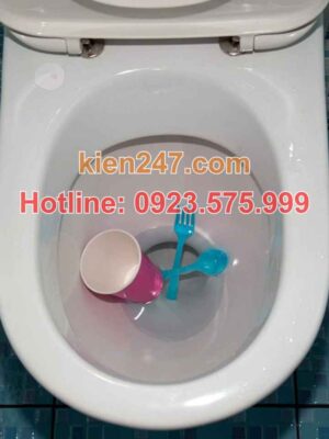 Nguyên nhân phổ biến gây tắc cống tại Hà Đông