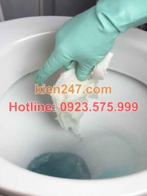 Nguyên nhân gây tắc cống tại Hồ Tây