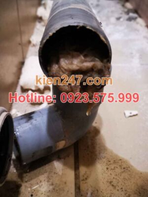 Vì sao cống tại Mỹ Hào, Hưng Yên thường xuyên bị tắc nghẽn?