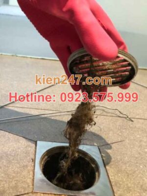 Lý do gây nên vấn đề tắc cống ở Thiệu Hoá và hệ quả khôn lường