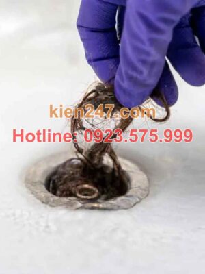 Tình trạng tắc cống tại Đông Sơn hiện nay