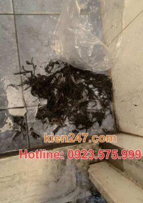 Ảnh hưởng của tắc cống đến sinh hoạt và môi trường tại Hoàng Mai