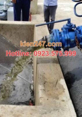 Chất thải sau khi hút sẽ được vận chuyển đến nơi tập kết đúng quy định