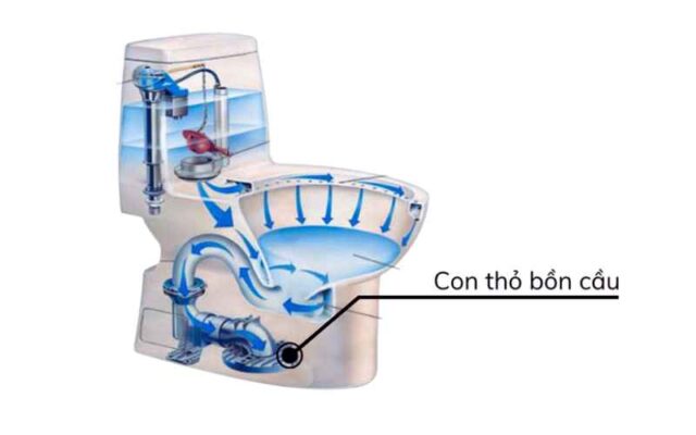 Sơ đồ cấu tạo bẫy Siphon (con thỏ) của bồn cầu, minh họa nguyên tắc ngăn khí hôi