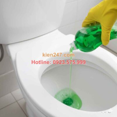 do nuoc rua chen vao bon cau bi tac