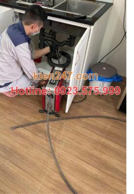 Tại Sao Kiến 247 Là Lựa Chọn Tối Ưu Cho Dịch Vụ Thông Tắc Cống Tại Phú Xuyên?