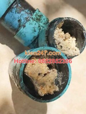 Đổ mỡ thừa xuống cống là nguyên nhân chính gây tắc cống