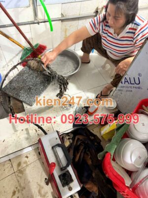 Nguyên nhân gây tắc cống tại Chương Mỹ