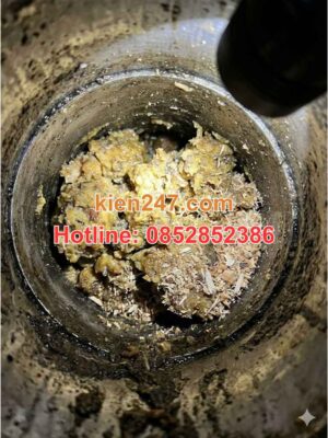 Hình ảnh đường ống bị tắc nghẽn do dầu mỡ và mùn gỗ tại làng nghề Từ Sơn.