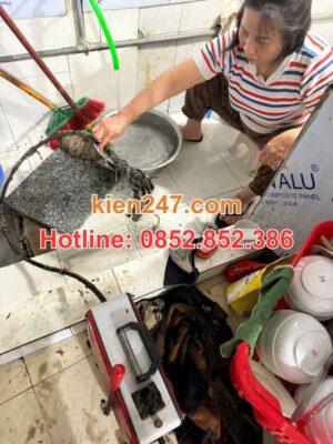 Công nghệ thông tắc cống bằng máy lò xo không đục phá nền nhà của Kiến 247