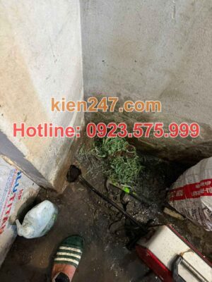 Uy Tín Đã Được Kiểm Chứng Qua Hàng Nghìn Ca Xử Lý Tại Thạch Thất