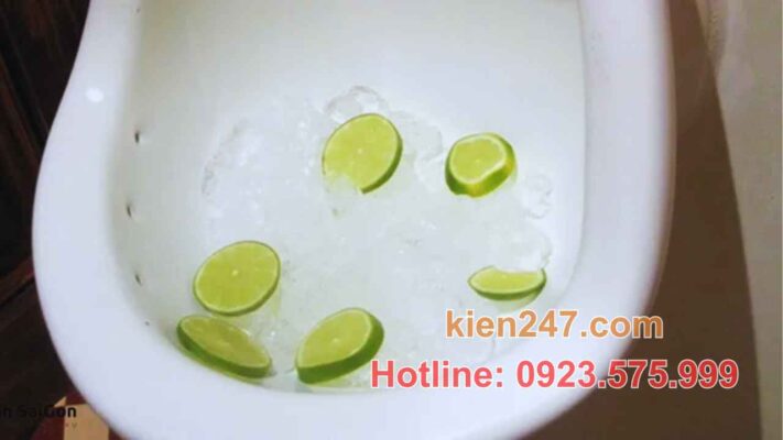 Ảnh minh họa cách xử lý bồn cầu bị hôi bằng đá lạnh và chanh tươi theo phương pháp dân gian.