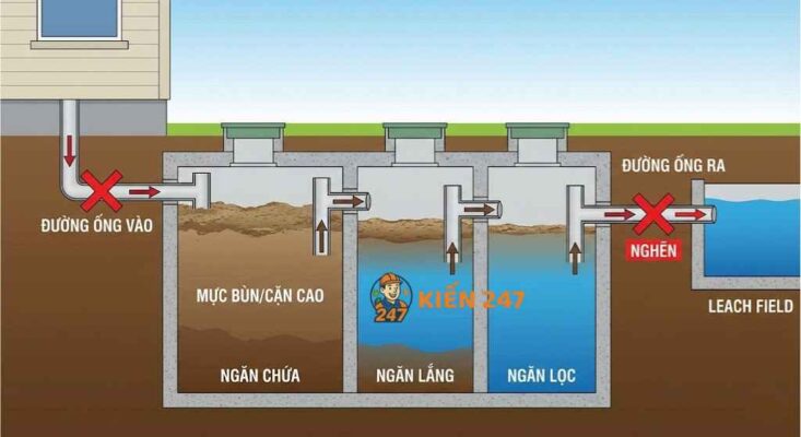 bể phốt đầy khiến nước bồn cầu xuống chậm