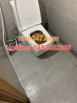 Bồn cầu tắc nhiều lần là biểu hiện cần gọi hút bể phốt tại Nam từ liêm