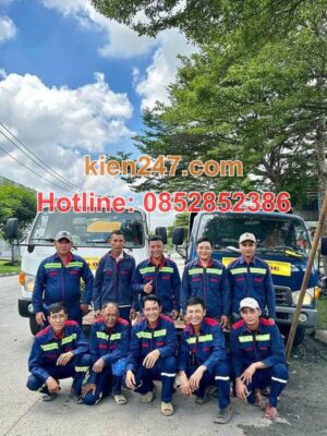 Kiến 247 có đội ngũ và dàn xe hút chân không chuyên nghiệp