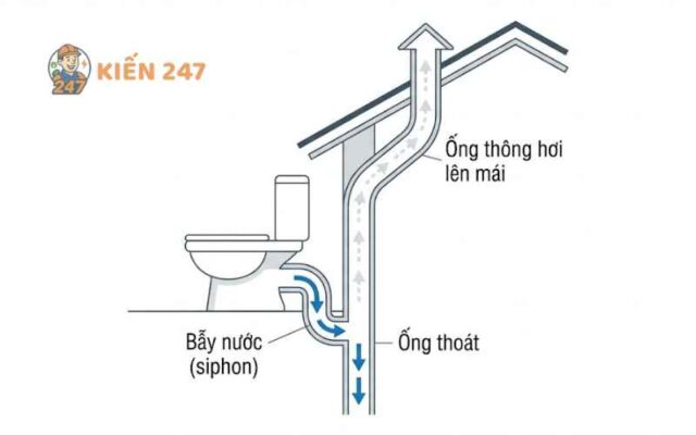 Sơ đồ nguyên lý ống thông hơi bồn cầu giúp cân bằng áp suất đường ống