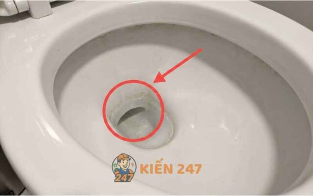vệ sinh lỗ siphon jet bồn cầu để xả mạnh